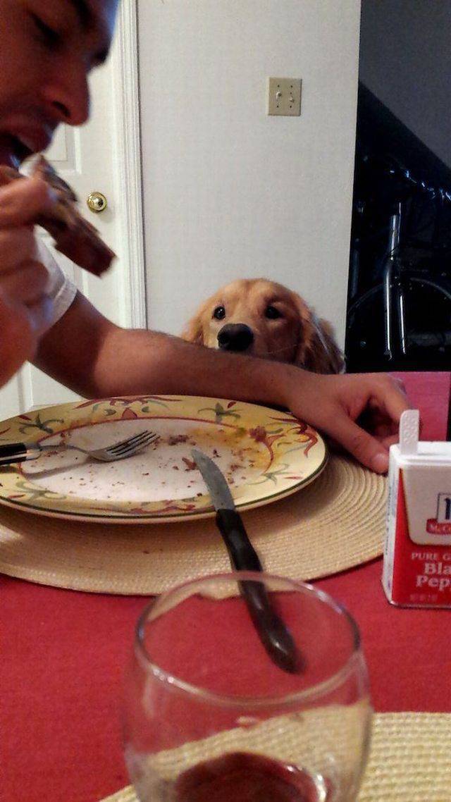 daily picdump 97 pics 14.html - 97 HD Photos | Premium Gallery 2018