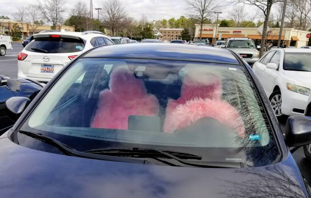 morning picdump 55 pics 26.html - 55 HD Photos | Premium Gallery 2018