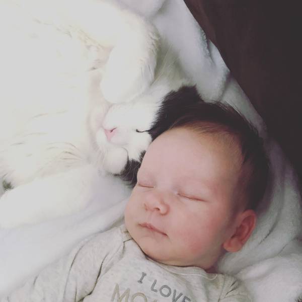 daily picdump 98 pics 31.html - 98 HD Photos | Premium Gallery 2018