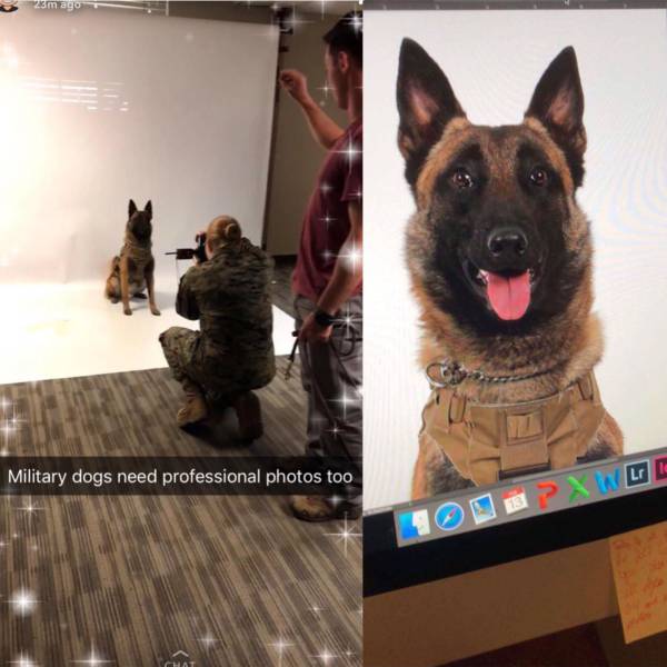 daily picdump 98 pics 31.html - 98 HD Photos | Premium Gallery 2018