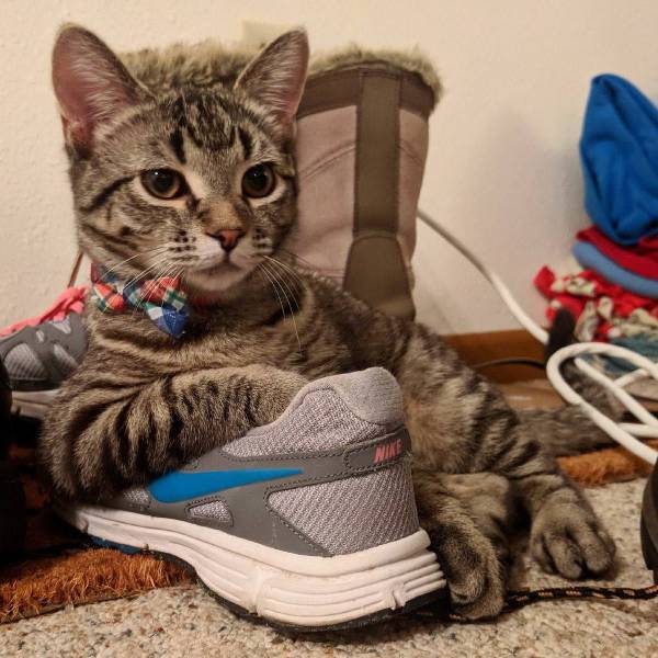 daily picdump 98 pics 31.html - 98 HD Photos | Premium Gallery 2018