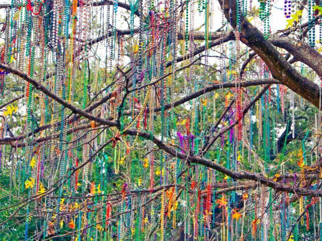 daily picdump 98 pics 31.html - 98 HD Photos | Premium Gallery 2018