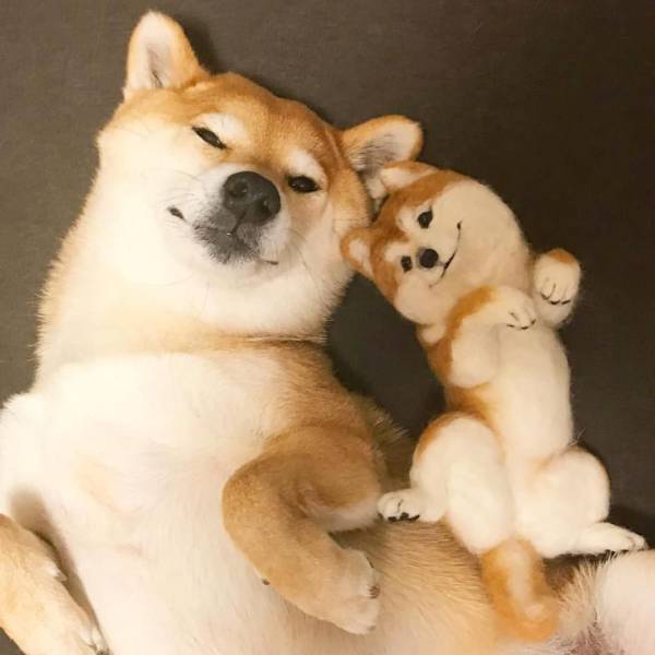 daily picdump 98 pics 31.html - 98 HD Photos | Premium Gallery 2018