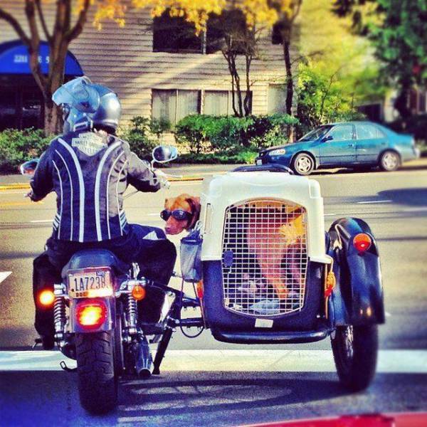 daily picdump 98 pics 31.html - 98 HD Photos | Premium Gallery 2018