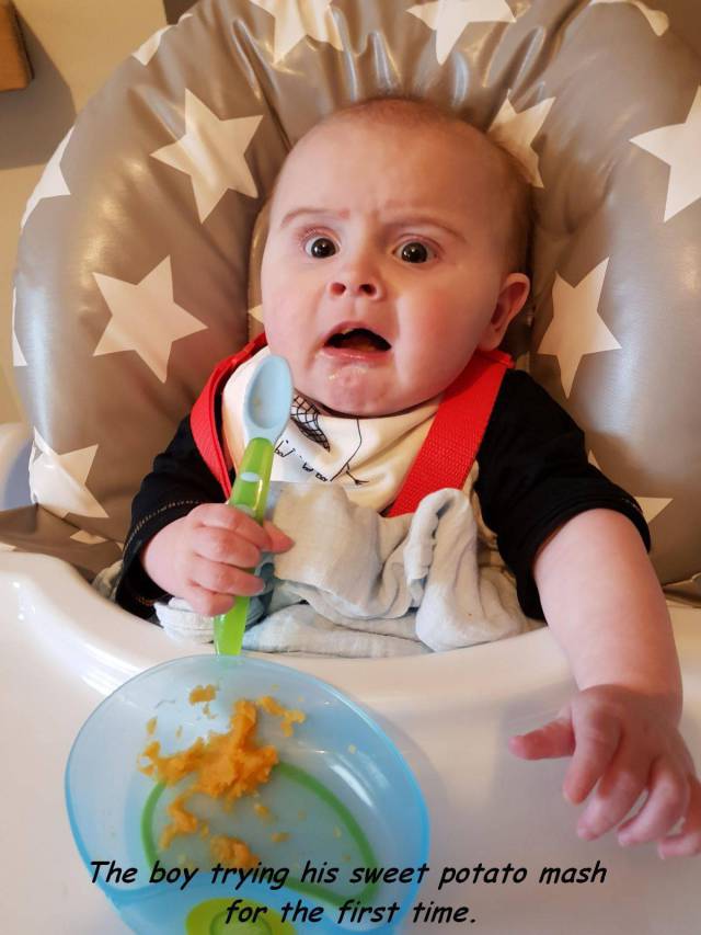 daily picdump 98 pics 31.html - 98 HD Photos | Premium Gallery 2018