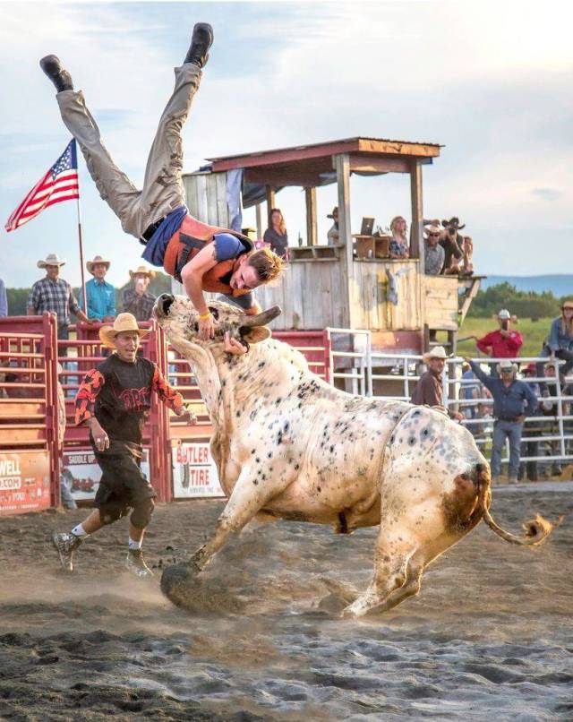 daily picdump 98 pics 31.html - 98 HD Photos | Premium Gallery 2018