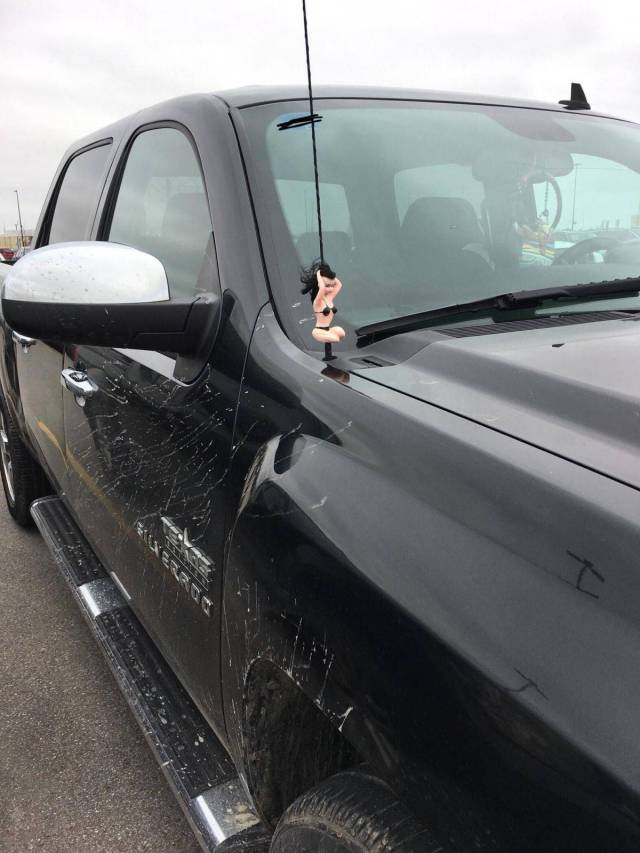 daily picdump 98 pics 31.html - 98 HD Photos | Premium Gallery 2018