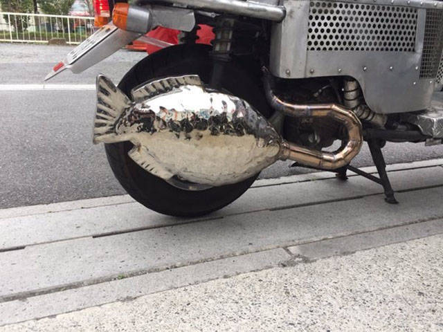 morning picdump 50 pics 3.html - 50 HD Photos | Premium Gallery 2018