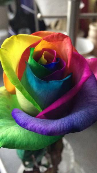 morning picdump 50 pics 3.html - 50 HD Photos | Premium Gallery 2018