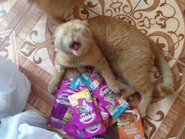 daily picdump 101 pics 9.html - 101 HD Photos | Premium Gallery 2018