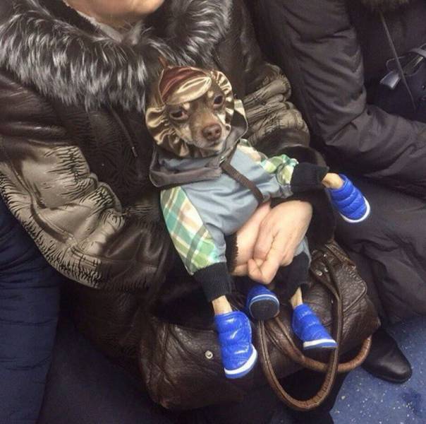 daily picdump 101 pics 9.html - 101 HD Photos | Premium Gallery 2018