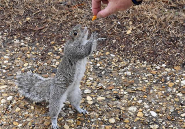 daily picdump 101 pics 9.html - 101 HD Photos | Premium Gallery 2018