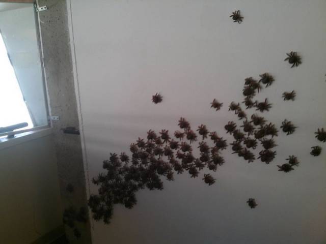 daily picdump 101 pics 9.html - 101 HD Photos | Premium Gallery 2018