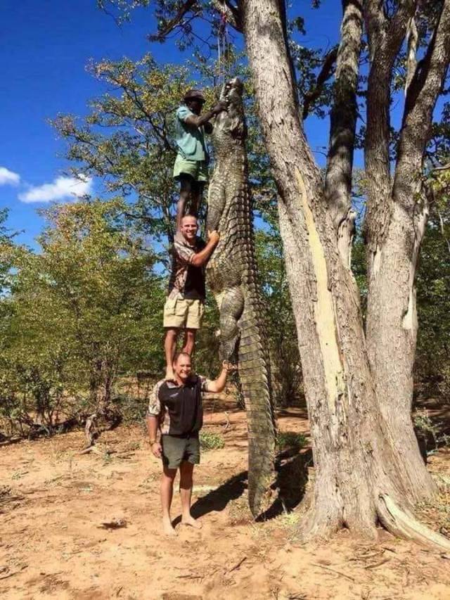 daily picdump 101 pics 9.html - 101 HD Photos | Premium Gallery 2018