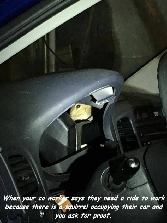 daily picdump 101 pics 9.html - 101 HD Photos | Premium Gallery 2018