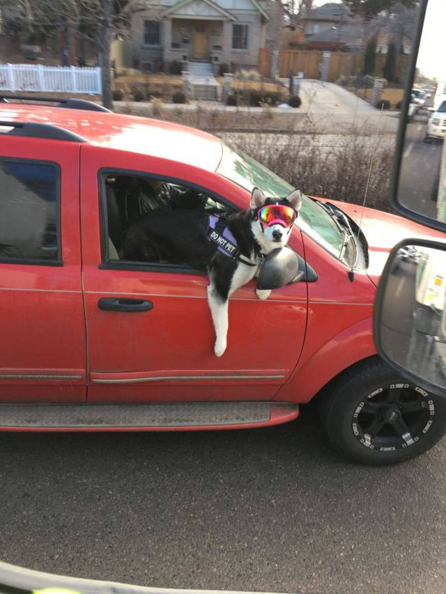 daily picdump 101 pics 9.html - 101 HD Photos | Premium Gallery 2018