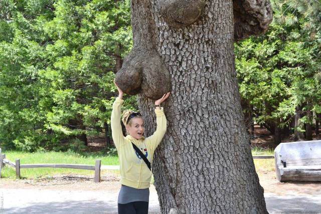 Dirty Mind, Come Here!