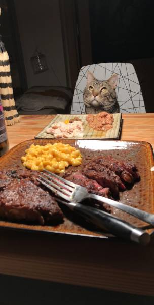 morning picdump 52 pics 21.html - 52 HD Photos | Premium Gallery 2018