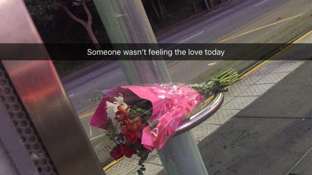 morning picdump 52 pics 21.html - 52 HD Photos | Premium Gallery 2018