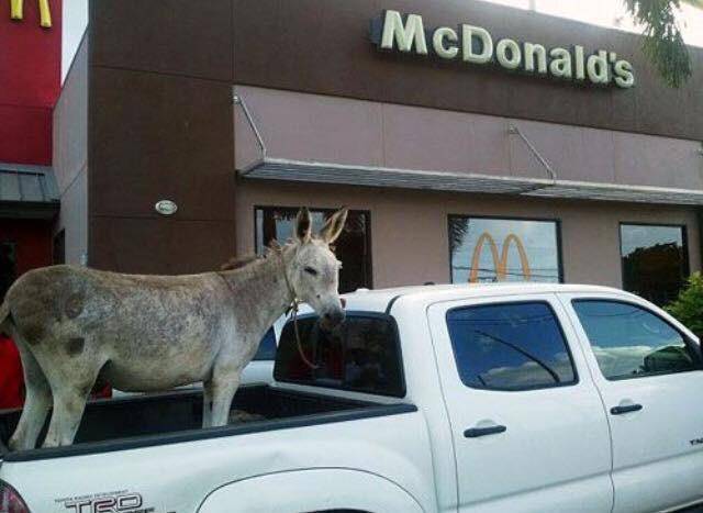 morning picdump 50 pics 25.html - 50 HD Photos | Premium Gallery 2018