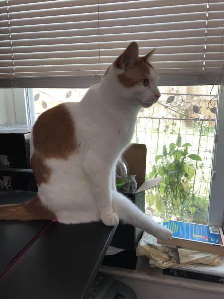 morning picdump 50 pics 25.html - 50 HD Photos | Premium Gallery 2018