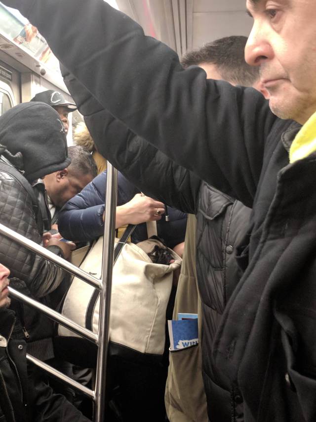 morning picdump 50 pics 25.html - 50 HD Photos | Premium Gallery 2018