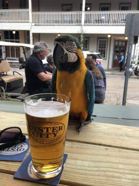 daily picdump weekend edition 52 pics 21.html - 52 HD Photos | Premium Gallery 2018