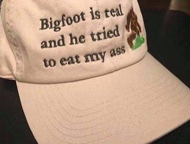 daily picdump weekend edition 52 pics 21.html - 52 HD Photos | Premium Gallery 2018