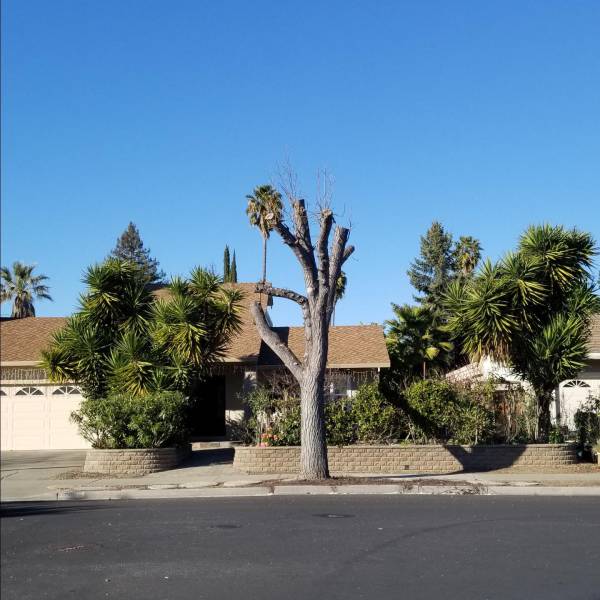 daily picdump weekend edition 52 pics 21.html - 52 HD Photos | Premium Gallery 2018