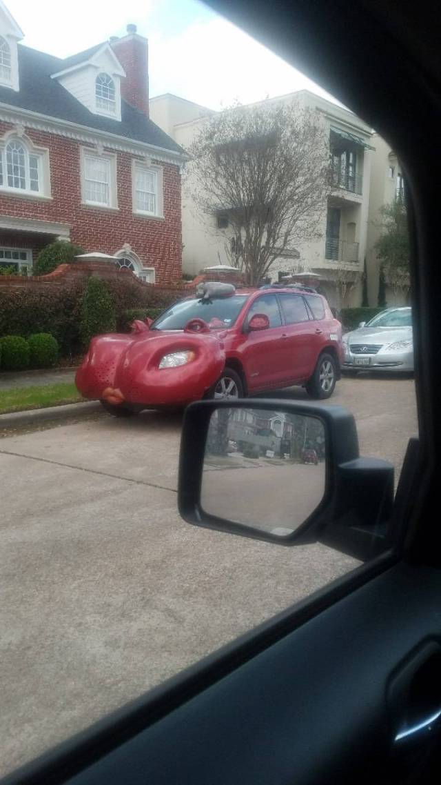 daily picdump weekend edition 52 pics 21.html - 52 HD Photos | Premium Gallery 2018