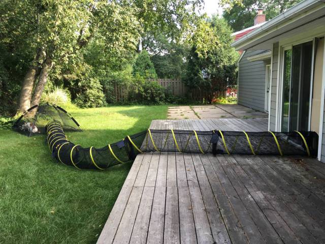 daily picdump 96 pics 47.html - 96 HD Photos | Premium Gallery 2018