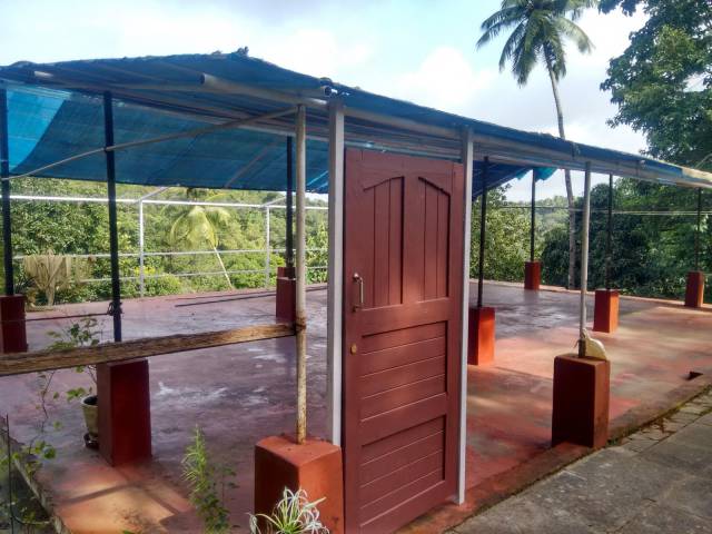 daily picdump 96 pics 47.html - 96 HD Photos | Premium Gallery 2018