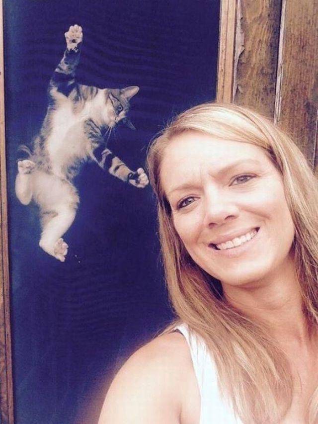 daily picdump 96 pics 47.html - 96 HD Photos | Premium Gallery 2018