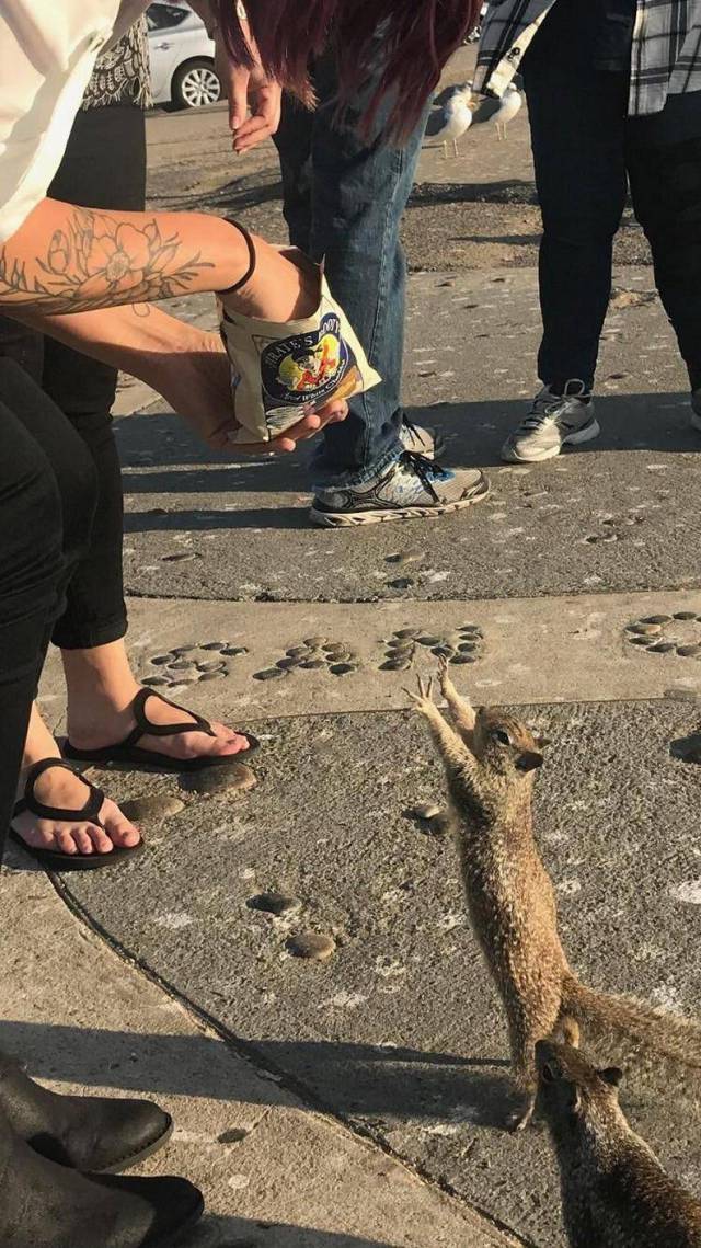 daily picdump 96 pics 47.html - 96 HD Photos | Premium Gallery 2018