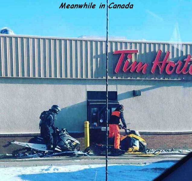 daily picdump 101 pics 4.html - 101 HD Photos | Premium Gallery 2018