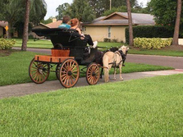 daily picdump 101 pics 4.html - 101 HD Photos | Premium Gallery 2018