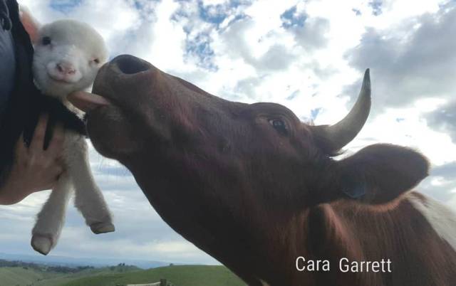 daily picdump 101 pics 4.html - 101 HD Photos | Premium Gallery 2018