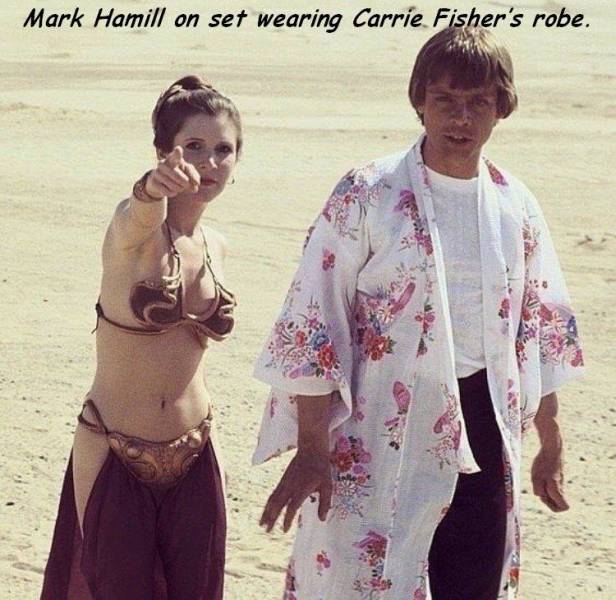 daily picdump 101 pics 4.html - 101 HD Photos | Premium Gallery 2018