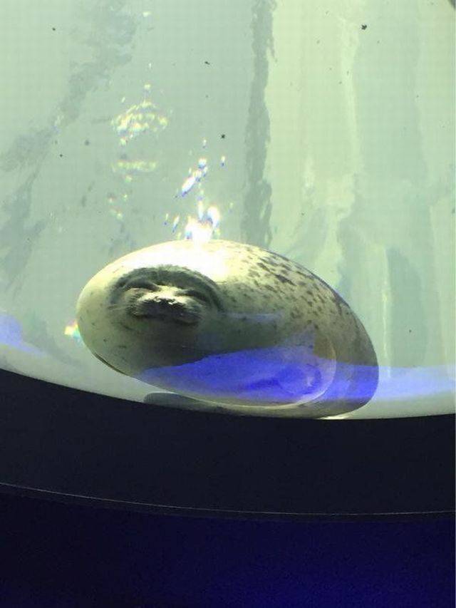 daily picdump 101 pics 4.html - 101 HD Photos | Premium Gallery 2018