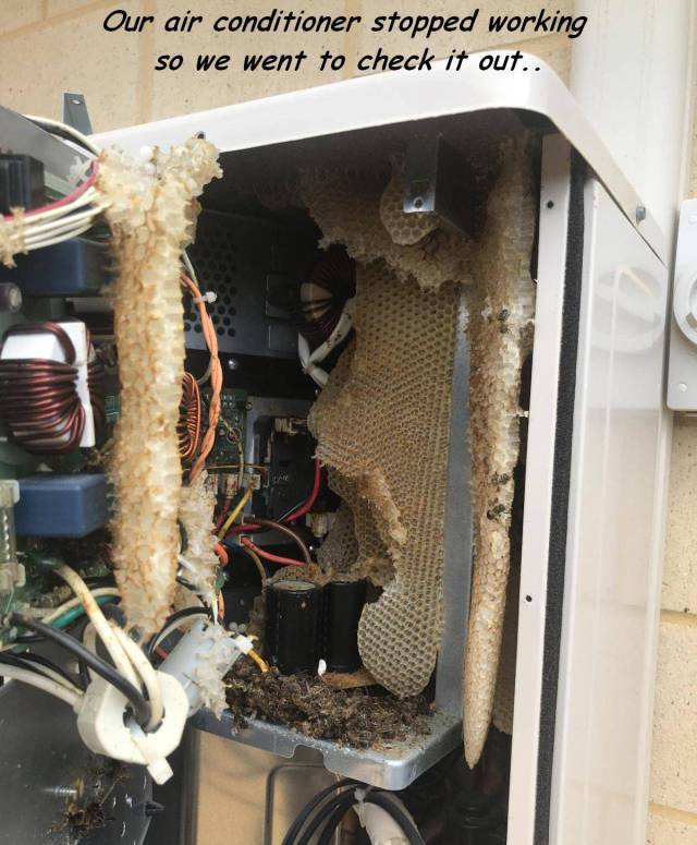 daily picdump 101 pics 4.html - 101 HD Photos | Premium Gallery 2018