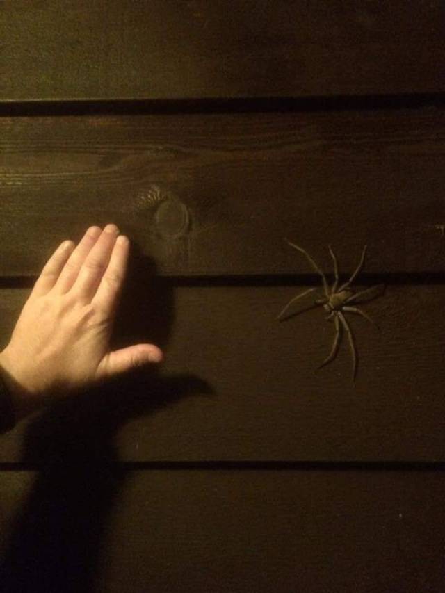 daily picdump 101 pics 4.html - 101 HD Photos | Premium Gallery 2018