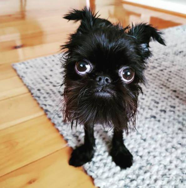 morning picdump 50 pics 1.html - 50 HD Photos | Premium Gallery 2018