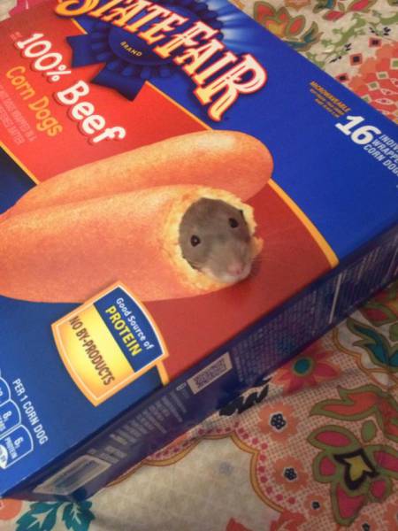 morning picdump 50 pics 1.html - 50 HD Photos | Premium Gallery 2018