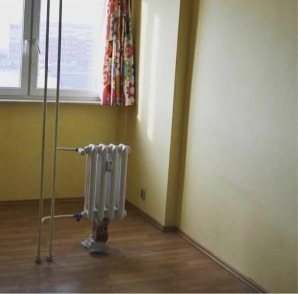 morning picdump 50 pics 1.html - 50 HD Photos | Premium Gallery 2018