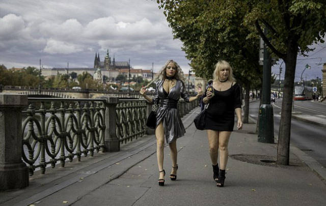 Everything To Become A Barbie