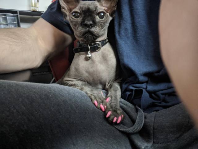 morning picdump 52 pics 5.html - 52 HD Photos | Premium Gallery 2018