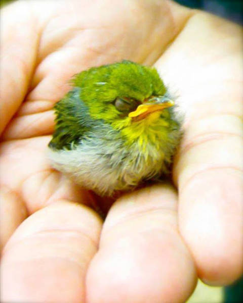 morning picdump 52 pics 5.html - 52 HD Photos | Premium Gallery 2018