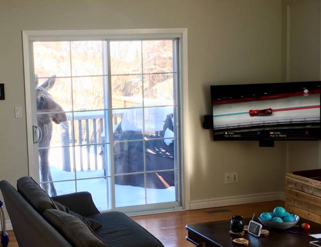 morning picdump 52 pics 5.html - 52 HD Photos | Premium Gallery 2018