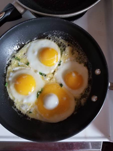 morning picdump 52 pics 5.html - 52 HD Photos | Premium Gallery 2018