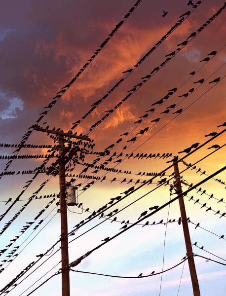 morning picdump 52 pics 5.html - 52 HD Photos | Premium Gallery 2018